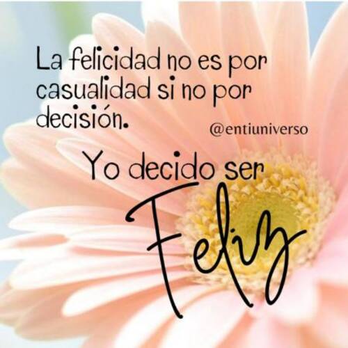 Foto extra 1