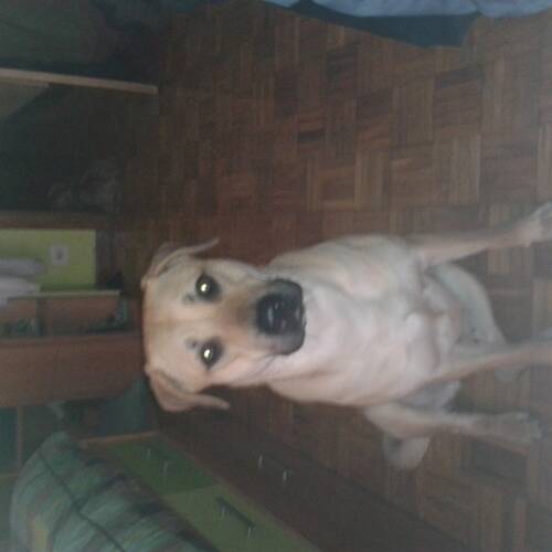 Foto extra 6