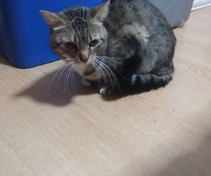 PETRI