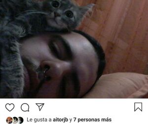 Diego