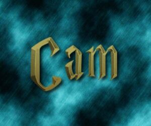 Cam