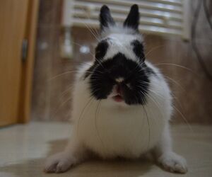Frostbite