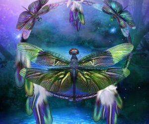 libelula magic