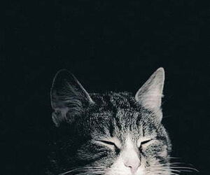 Pablo