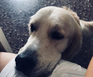 AnaGabriela