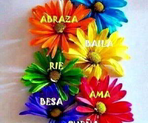 Mamen