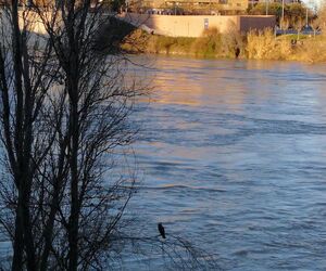Mar?a Dolores 