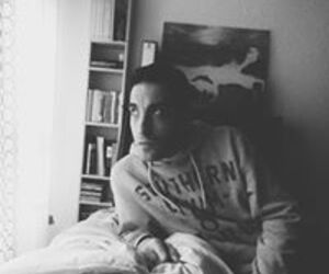 david