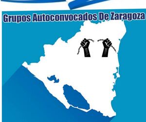 Trovador nica