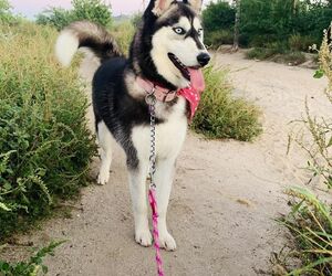 esmeralda