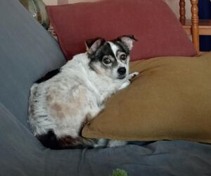 Monica