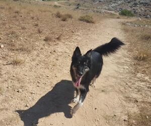 Carmen