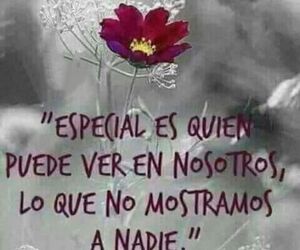 leyre