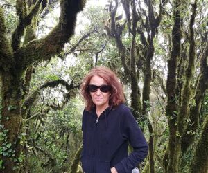 ana cristina v
