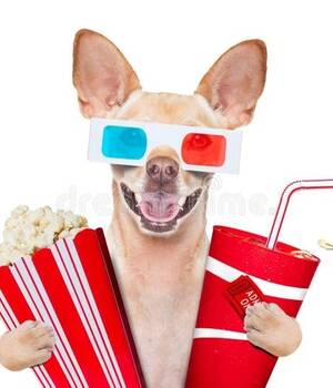 Palomitero