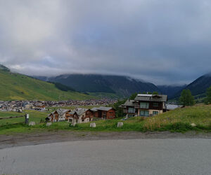 Javier