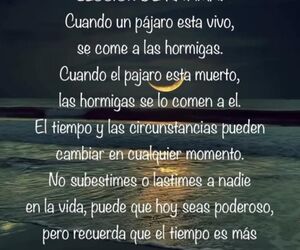 samuel