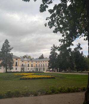 Cristina
