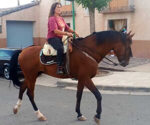 Montse