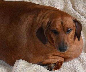 Juam