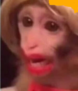 Maiteraleza