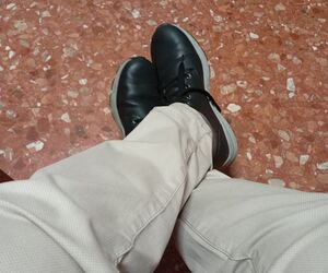 Losn