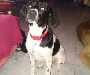 jorge