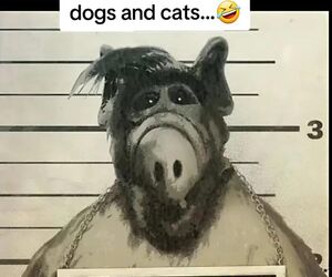 Pablo