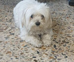 Beatriz