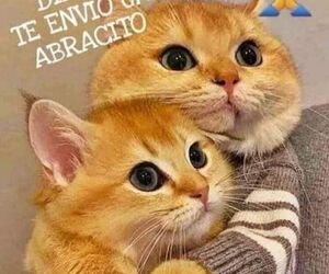Antonio