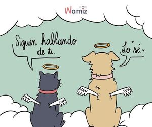 Aroa