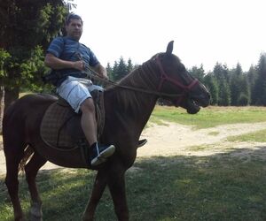 Viorel Yamaha 