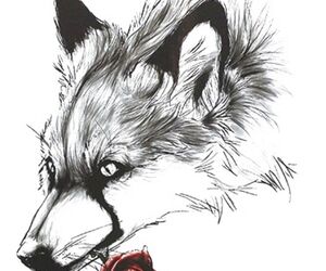 lobo88