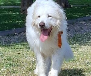 Diego