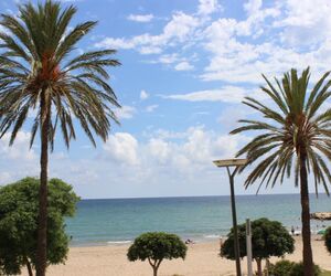 sara_sarah