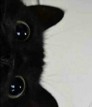 Mí