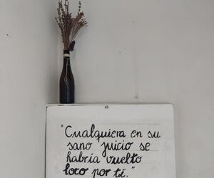 Isis
