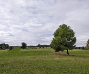 Marián
