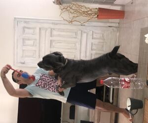 Patrizio
