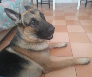 Ruben