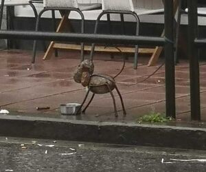 Nuria
