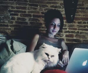 Isabel