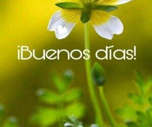 Ines