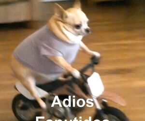 Andrés