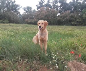 Pili