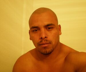 cesar