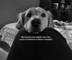 Mari