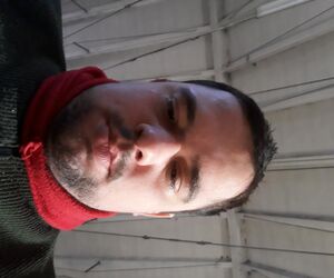 David