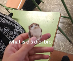 Danirl