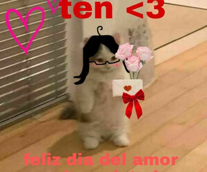 Beatriz